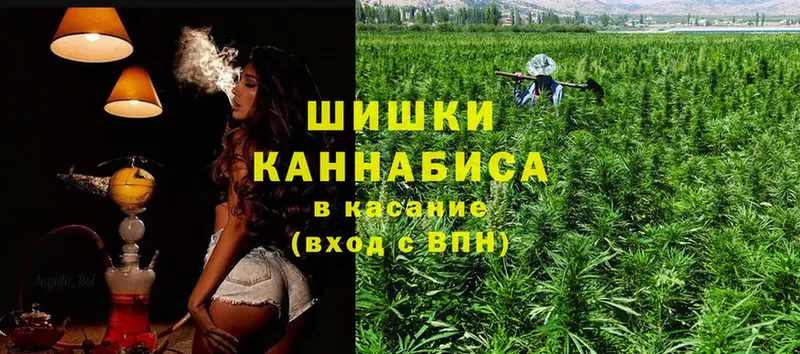 купить наркоту  Коммунар  Бошки Шишки Amnesia 